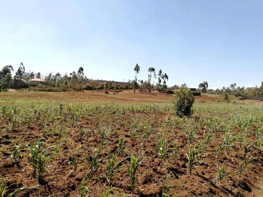 Eighths acre plots for sale in gikambura kikuyu kiambu. image 4