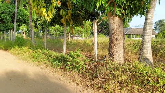 15 ac Land at Bomani image 8