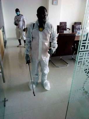 Fumigation and Pest Control Services Kabete image 1
