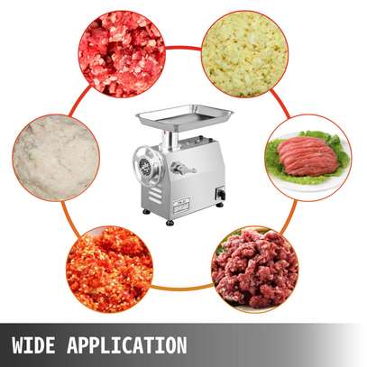Industrial Meat Grinder Electric 250kgs/h image 2