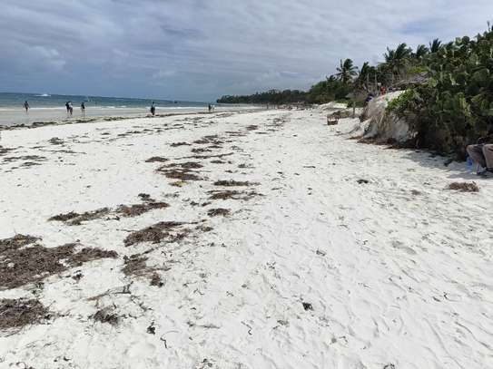 Residential Land at Bungalow Road image 3