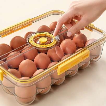 24 Grids Egg tray image 2