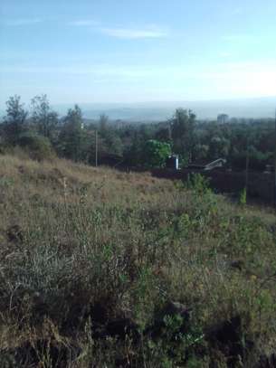 Milimani Estate Nakuru half an acre plot image 1
