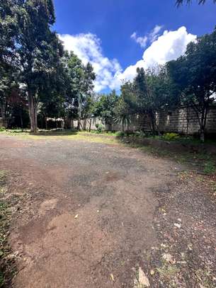1.25 ac Land in State House image 2