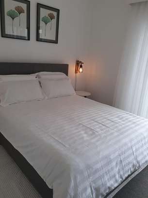 Serviced 1 Bed Apartment with En Suite in Riverside image 16