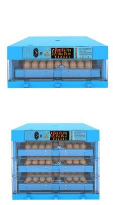 Get The Best and Affordable Egg Incubators image 1