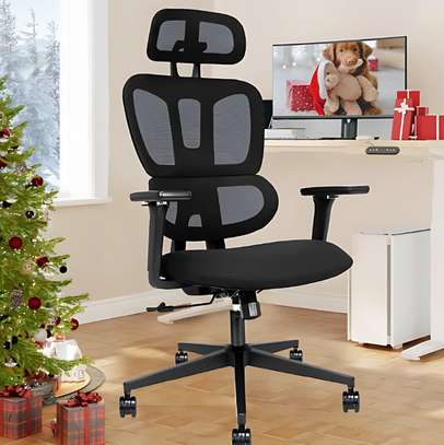 Office Chair: Executive Proper Orthopedic Posture Chair image 2