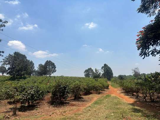 3 ac Land at Glory Road image 2