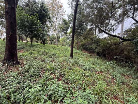 5 ac Land in Kitisuru image 7