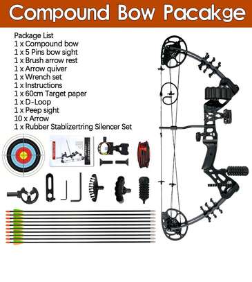 Compound bow image 1