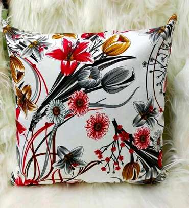 Throw pillow and covers image 1