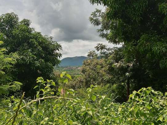 Prime Fertile Land in Ithanga, Murang'a, Near Kakuzi image 1