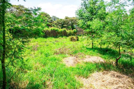 Prime Residential plot for sale in kikuyu, Gikambura image 4