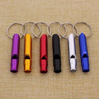 Whistle Security Sport Keychain keyholder coaches image 1