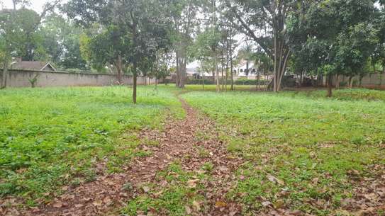 Land in Muthaiga image 2