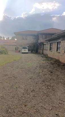 5 acres for sale in Bogani Karen image 5