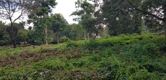 Residential Land at Shanzu Road image 5
