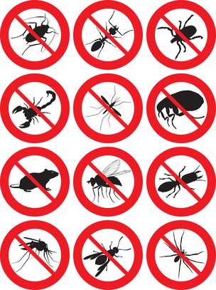 BED BUG Fumigation and Pest Control Services in Embakasi image 4