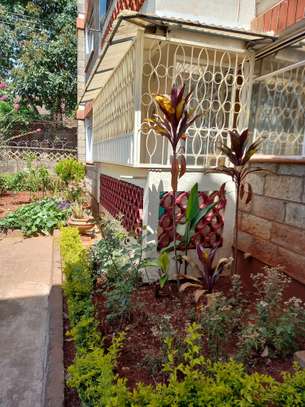 2 Bed Apartment with Parking in Westlands Area image 2