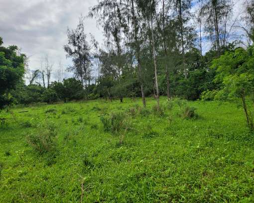 Commercial Land in Mtwapa image 1