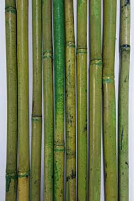Bamboo Decorative Sticks for Decor/Craft/DIY image 4