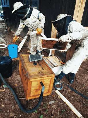 Beekeeping Service | From hive installation to honey harvesting, we provide everything that makes home beekeeping a simply beautiful pleasure for you.Call Us for Information image 11