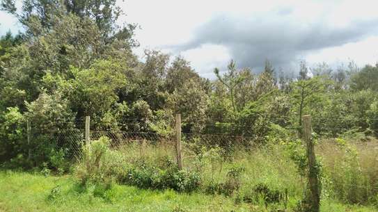 Ideally Located 1/4 Acre Plots With Forest Mt Kenya View image 4