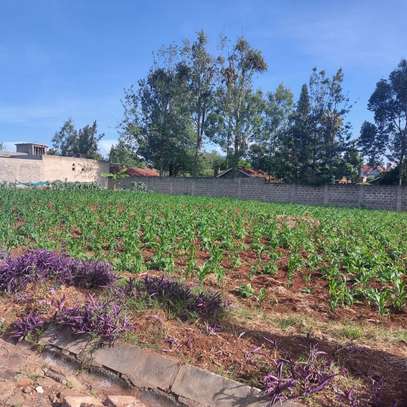 Land at Garden Estate Rd image 15