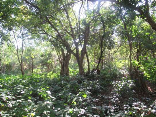1-Acre Plots For Sale in Diani image 9