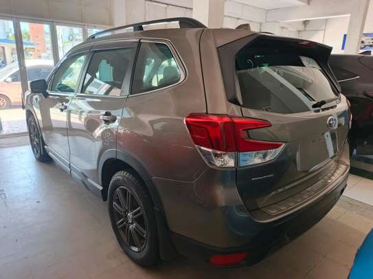 Subaru foerster Eboxer image 1