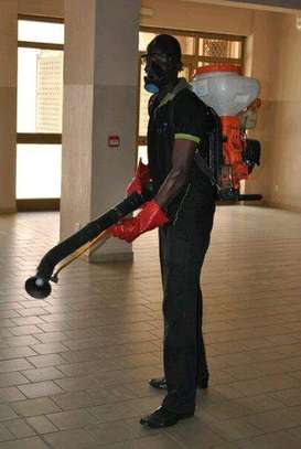 Fumigation and Pest Control Services Nairobi West image 1