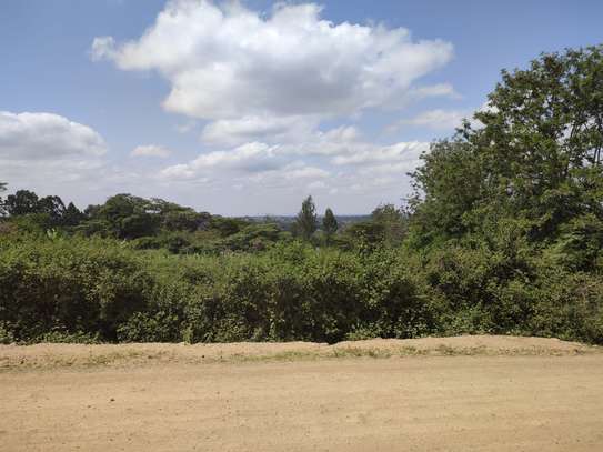 0.25 ac Land at Merisho Road image 3
