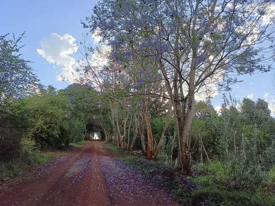 Residential Land at Kiukenda image 4