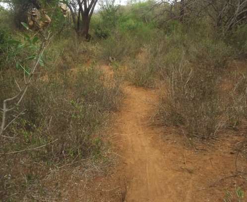 3,000 Acres Is Available For Lease In Kambu Makueni County image 3