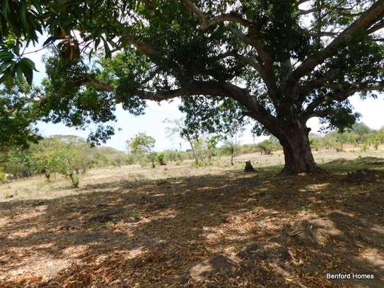10,000 ft² Land in Vipingo image 4