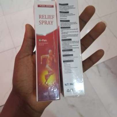 Flex Joint Relief Spray image 2