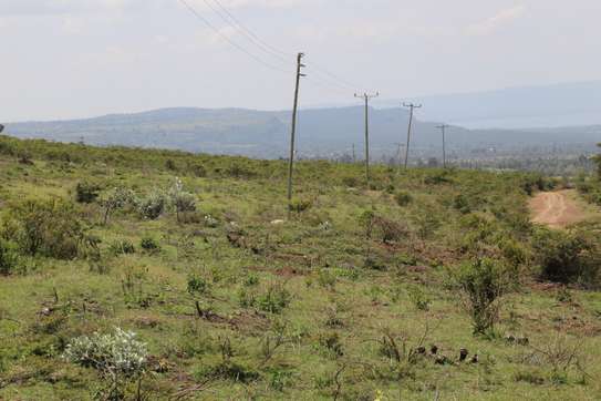 1/4 Acre Land For sale in Nakuru, Miti Mingi image 5