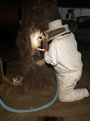 Beekeeping Service | From hive installation to honey harvesting, we provide everything that makes home beekeeping a simply beautiful pleasure for you.Call Us for Information image 2