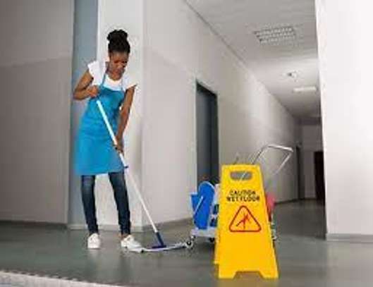 Trained & Vetted Domestic Workers  | Contact Us Today image 1