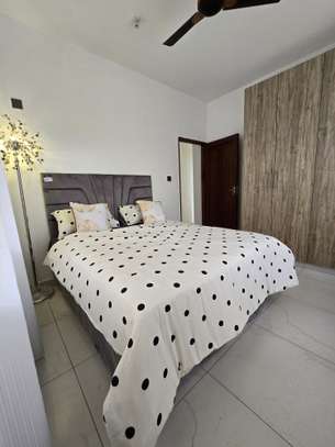 Serviced 1 Bed Apartment with En Suite at Mtambo image 5