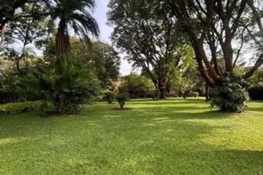 1.1 ac Residential Land at Mzima Spring image 4