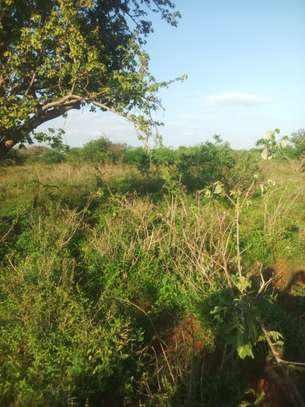 1500 Acres Available For Sale in Kitui Mutha Region image 4