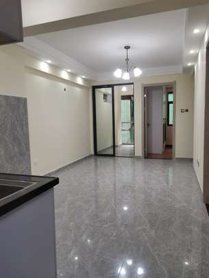 Serviced 4 Bed Apartment with En Suite at Kindaruma Road image 3