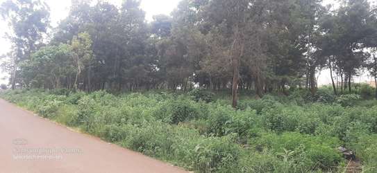 Land in Redhill image 24