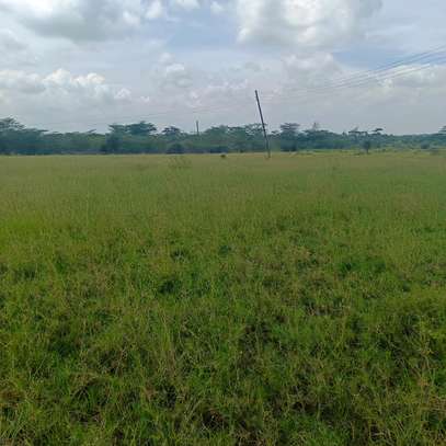 Land for sale in Lenchani image 3