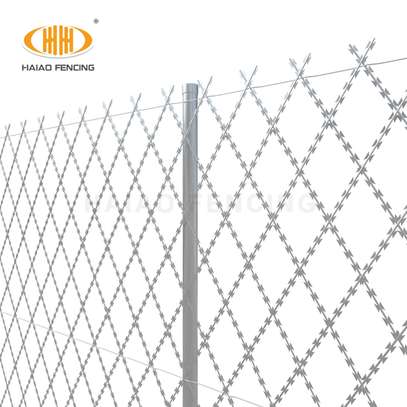 Welded Razor Wire Fence. image 1