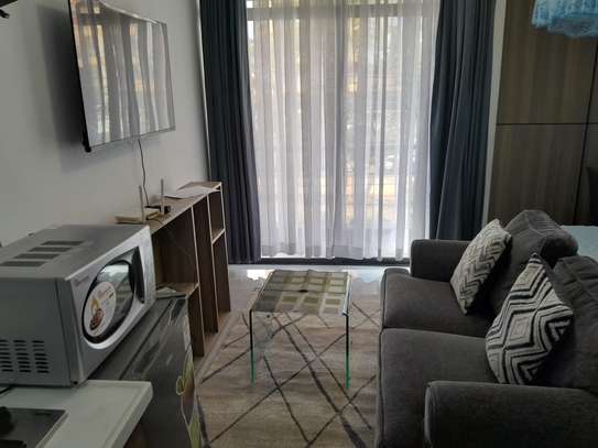 Fully furnished and serviced studio apartment available image 1