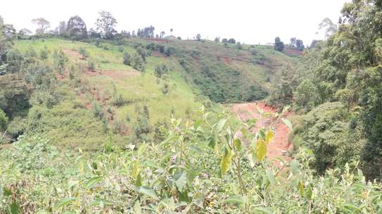 1.7 ac Commercial Land at Ruaka image 4