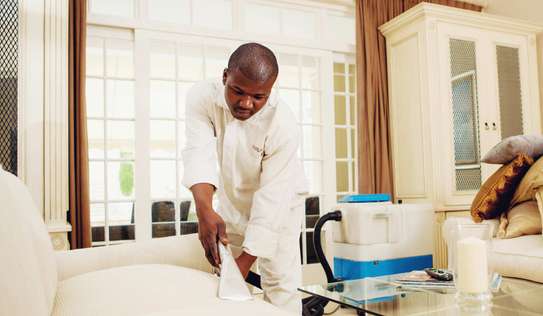 Domestic Cleaning Services in Nairobi-Professional Cleaning Services Nairobi image 12