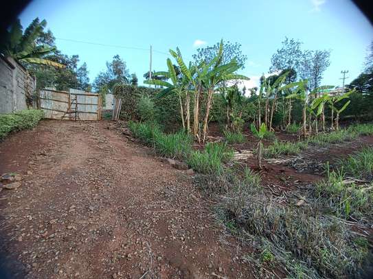 0.5 ac Land in Thome image 10